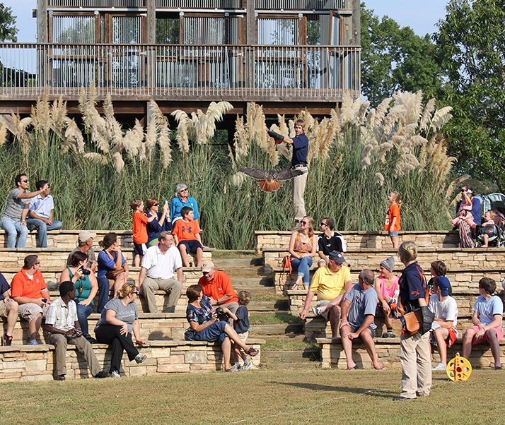 FFF2013.web