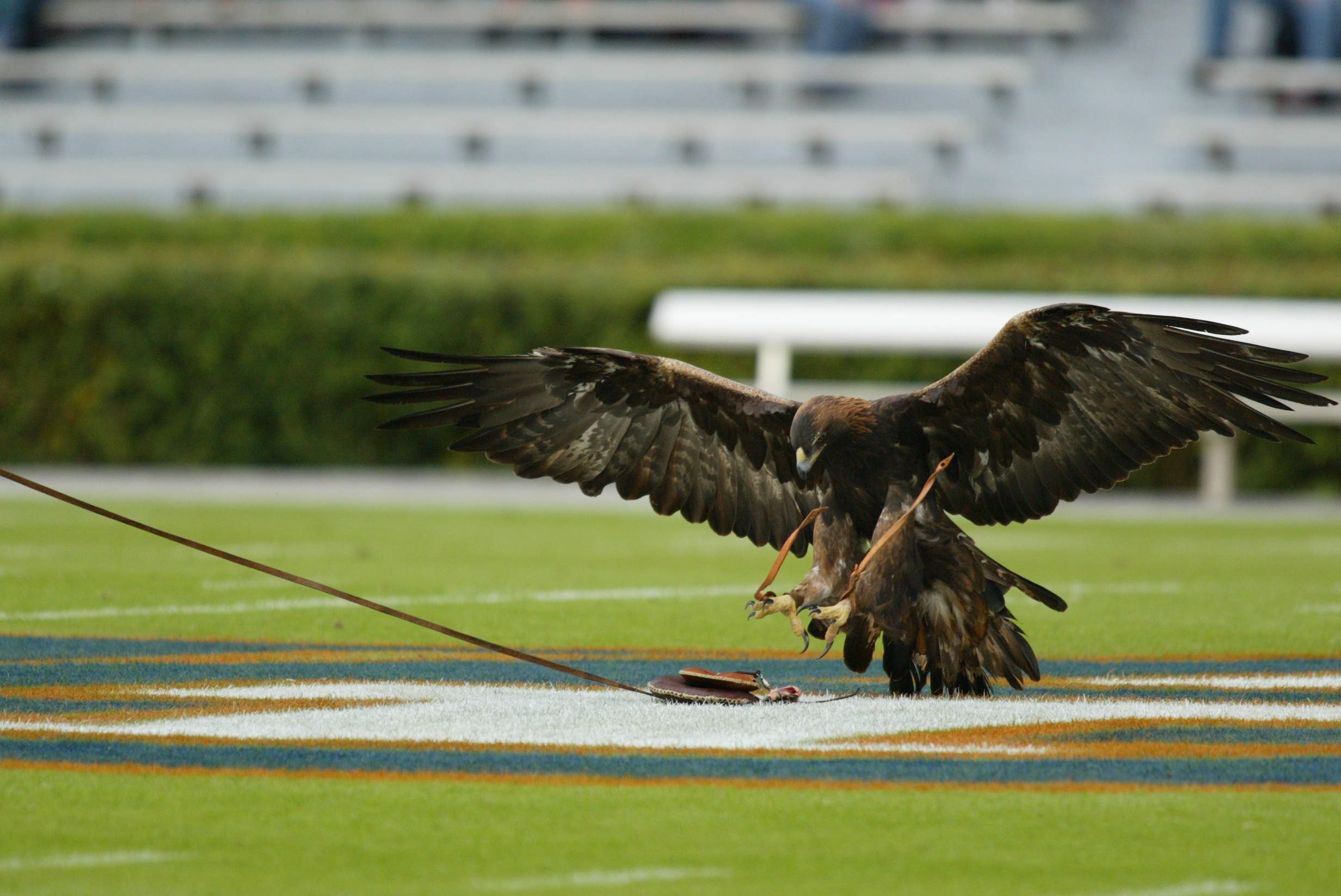 AU vs LA Tech