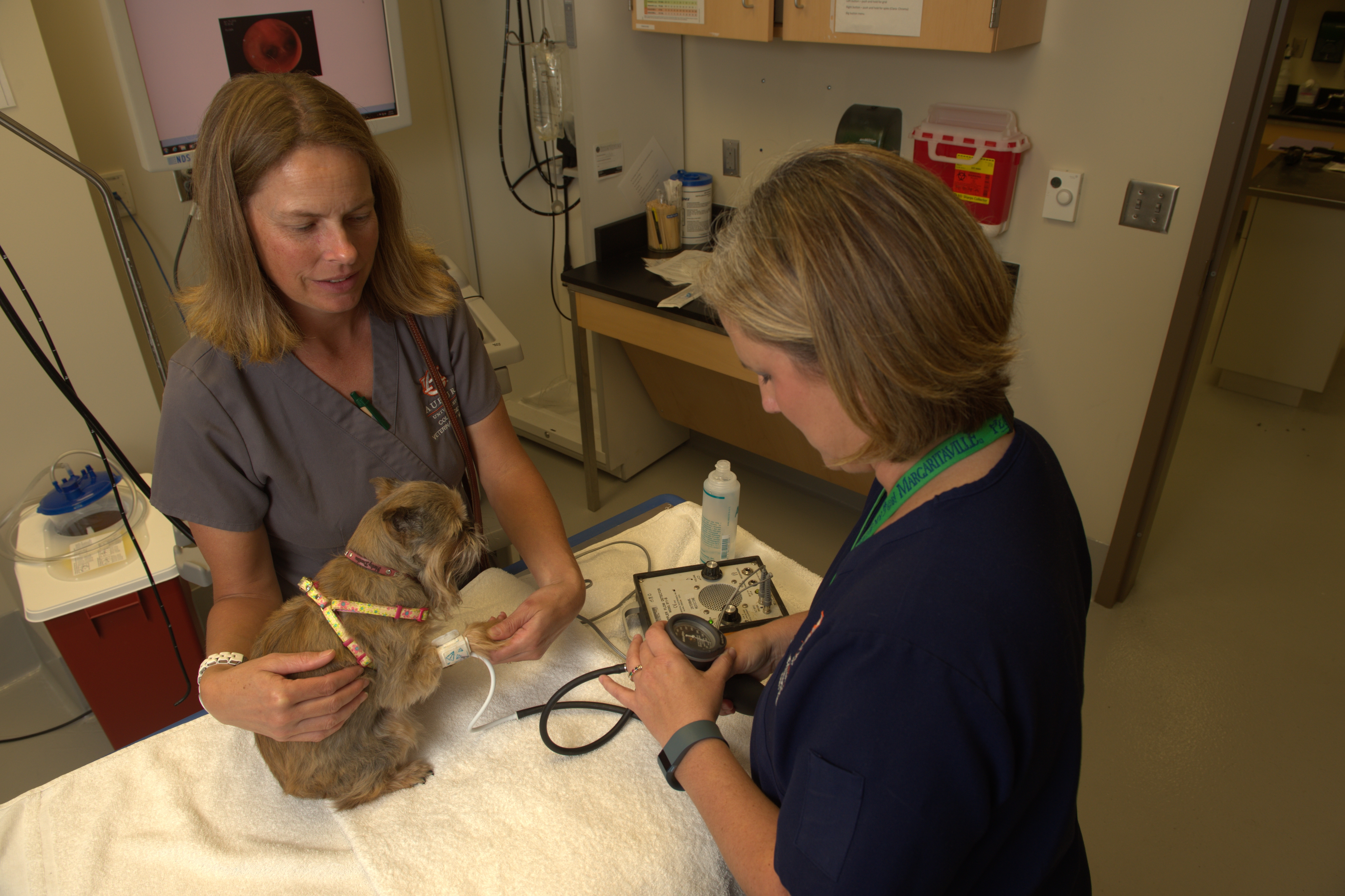 Internal Medicine Service technicians