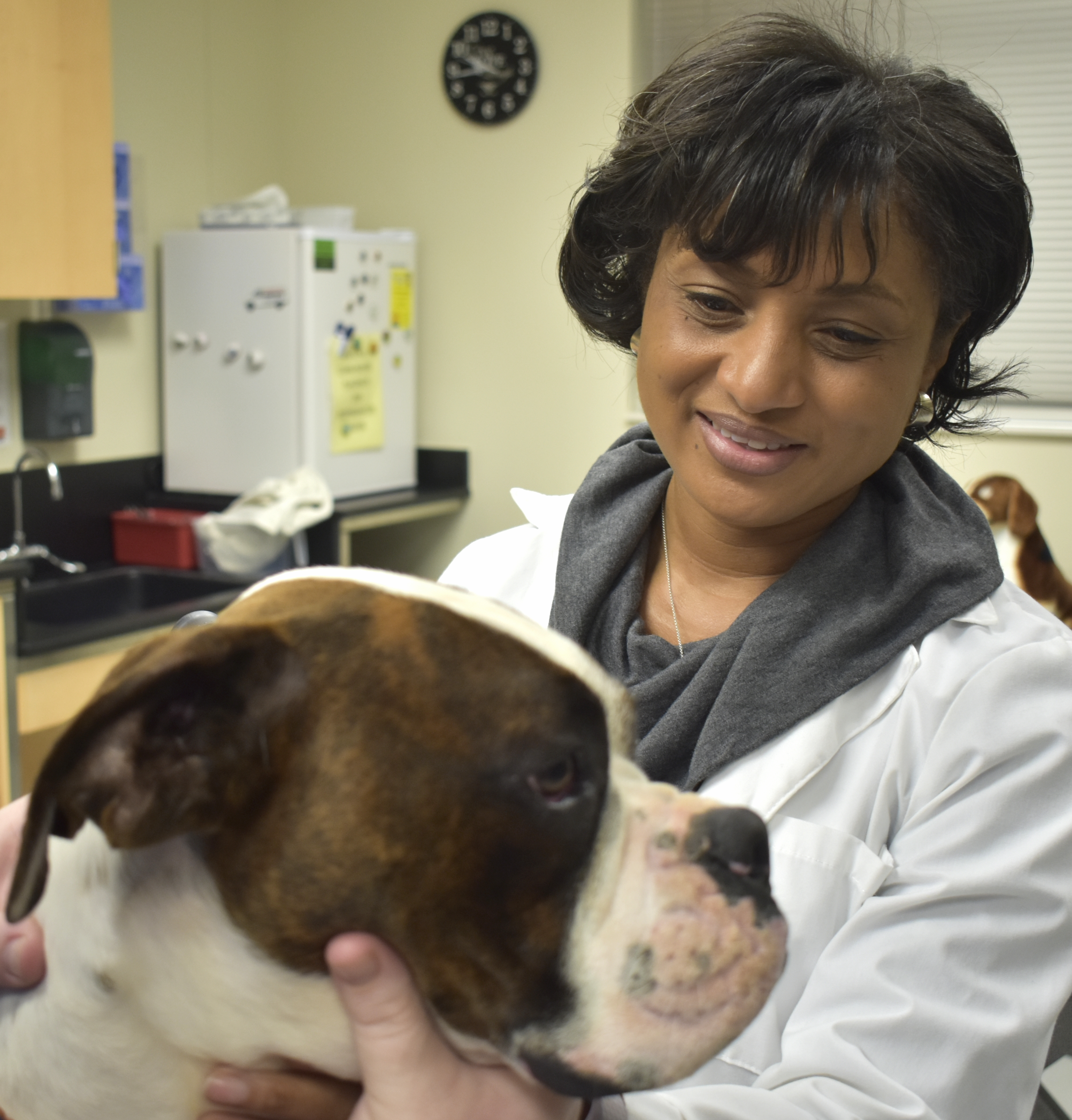 Photo of Dr. Shannon Boveland