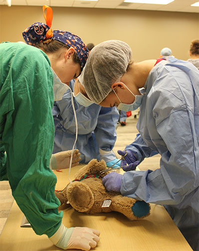 photo of teddy bear surgery
