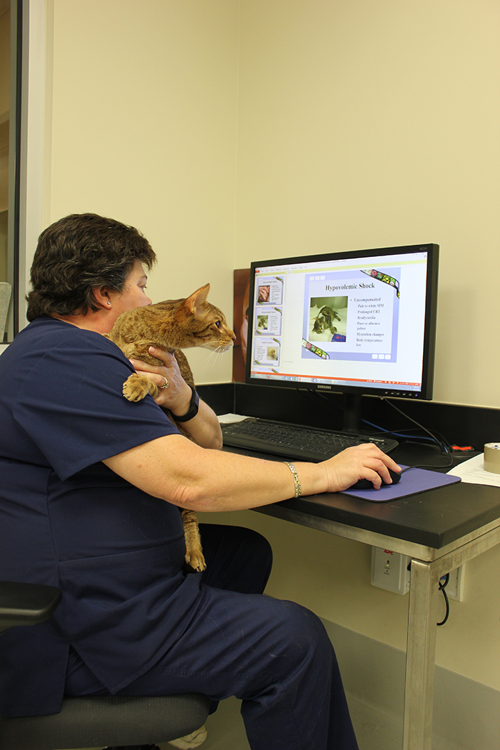 Royer and cat.