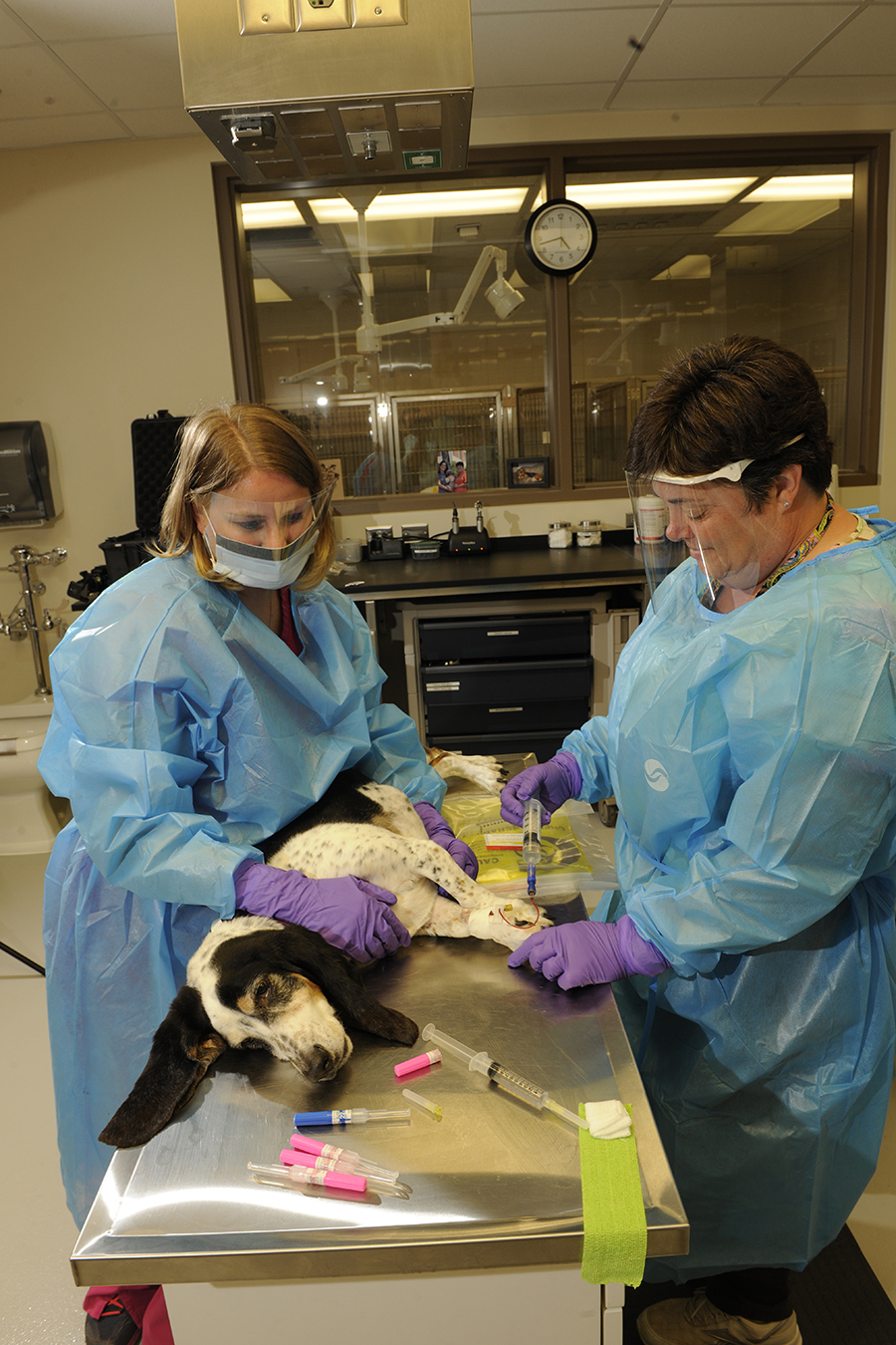 Royer giving oncology treatment.