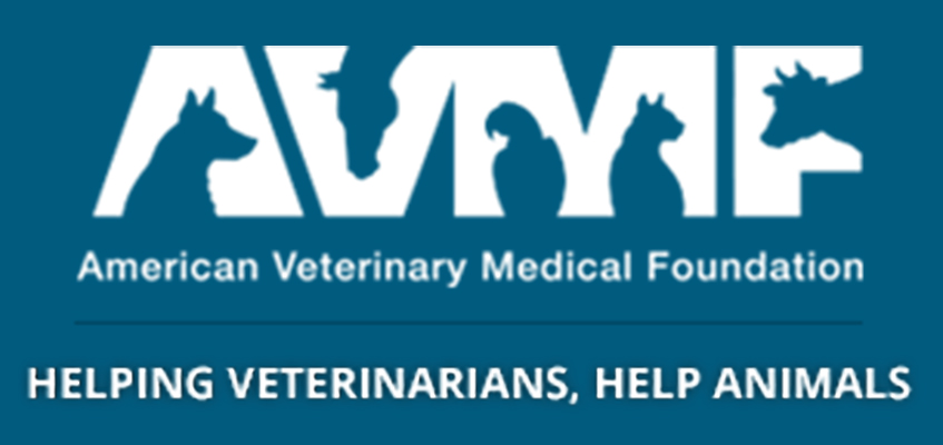 American VMF Logo
