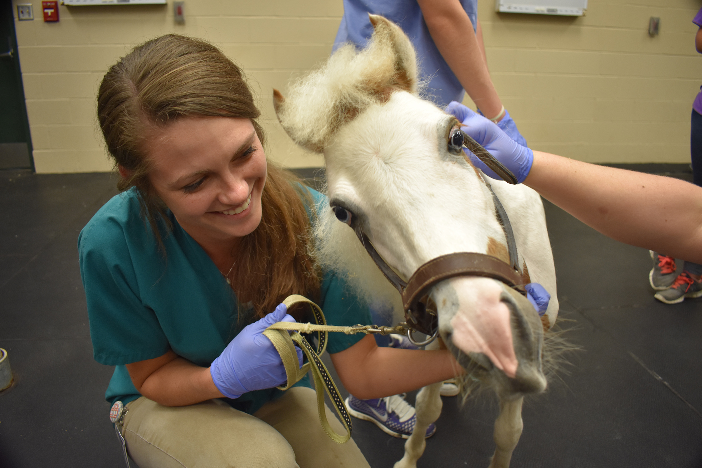 Fourth-year student Rayna Gordon takes care of Pogo.