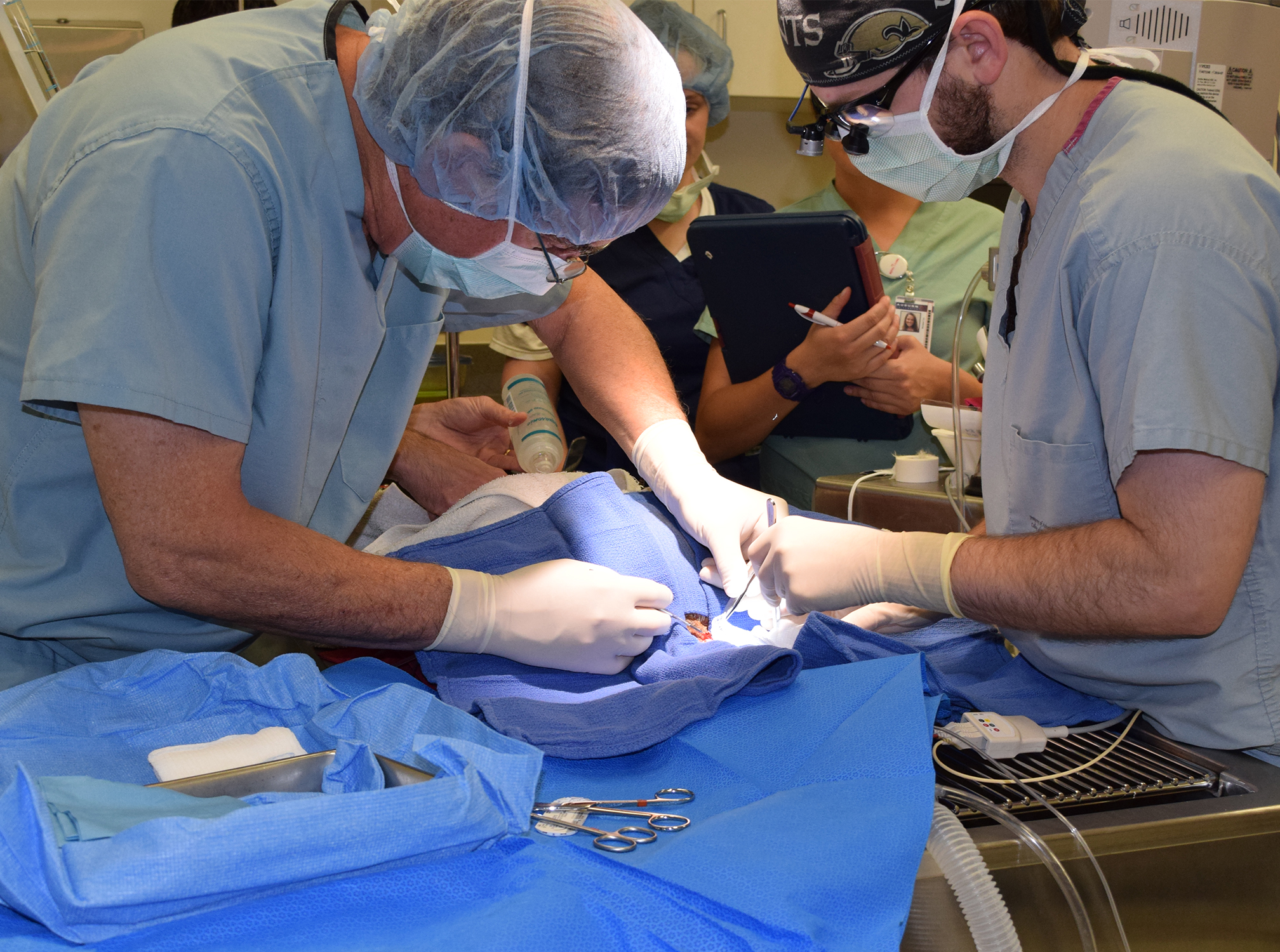 Photo of Chester in surgery