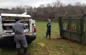 Photo of Farm Animal Ambulatory Service in the Field