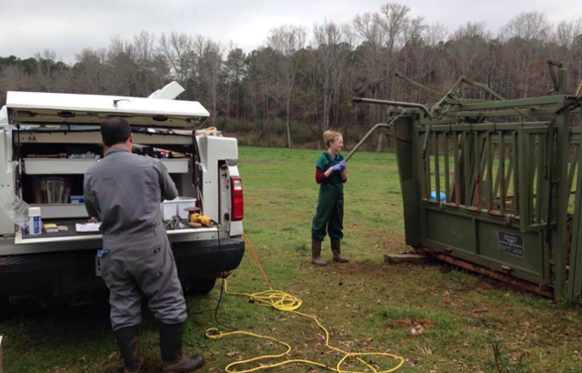 Photo of Farm Animal Ambulatory Service in the Field