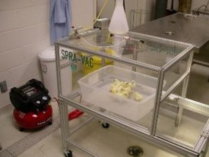 Chicks in incubator