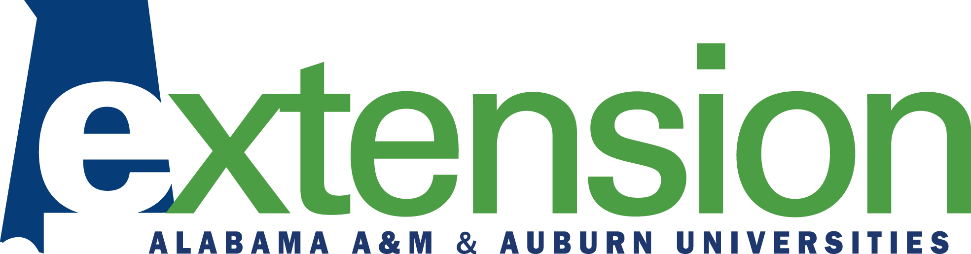 Extension Logo