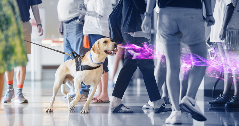 Vapor Wake dog in action