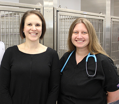 Dr. Bacek and Dr. Lowe.