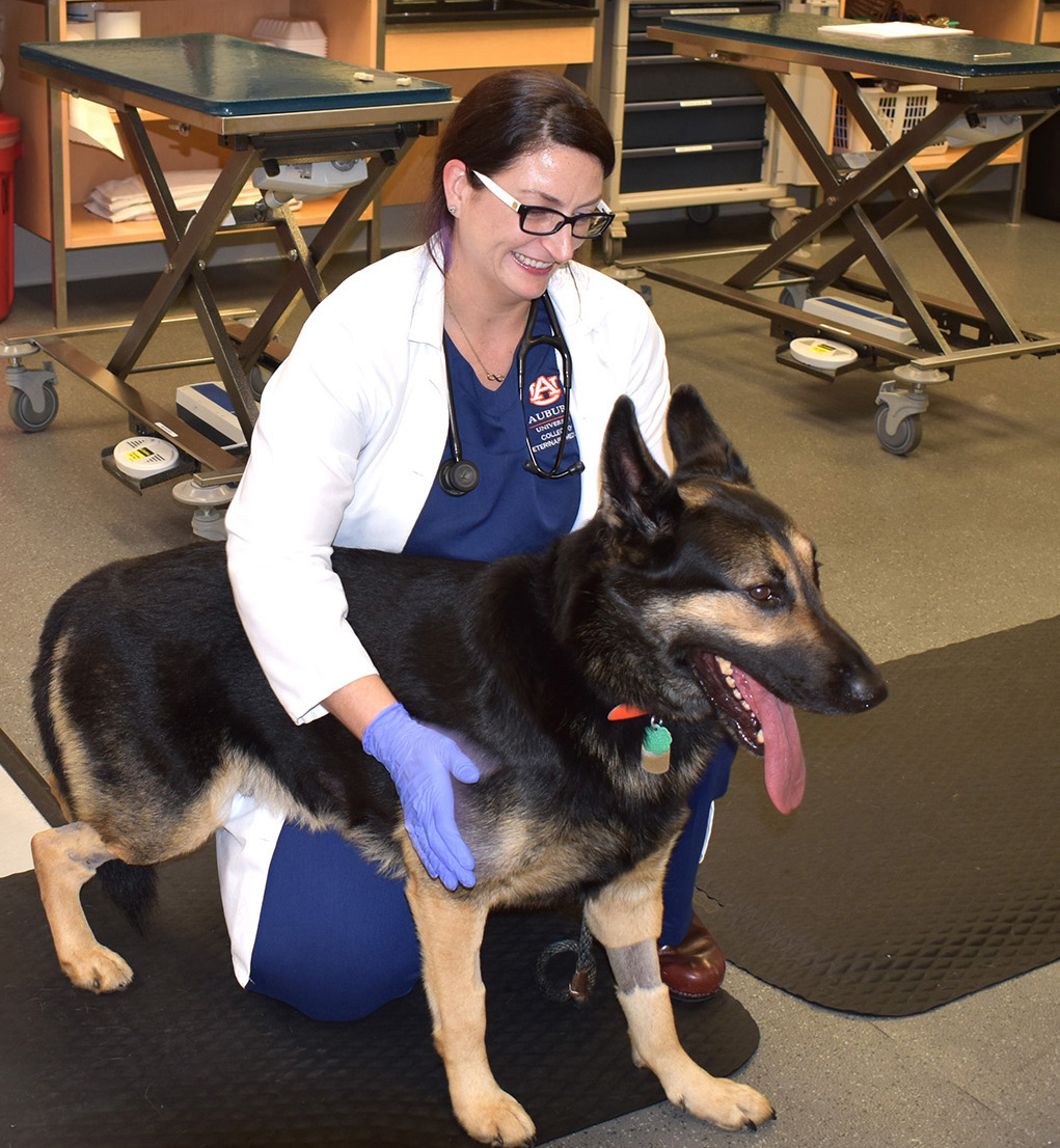 Dr. Fallon gives Adler a neurology evaluation.