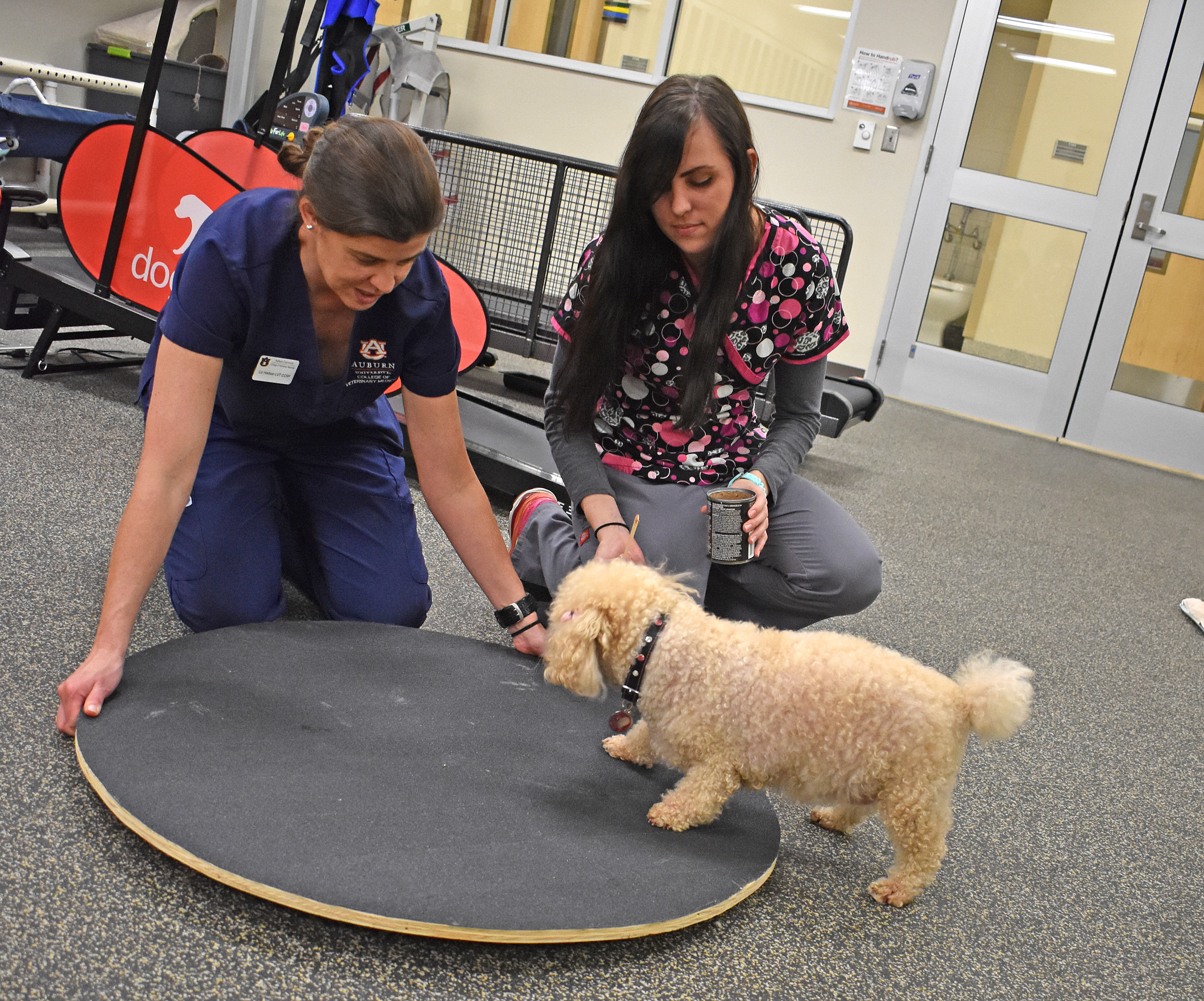 photo of Liz Hodson and owner with Poochie