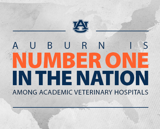 Auburn University Veterinary Teaching Hospital has been ranked No. 1