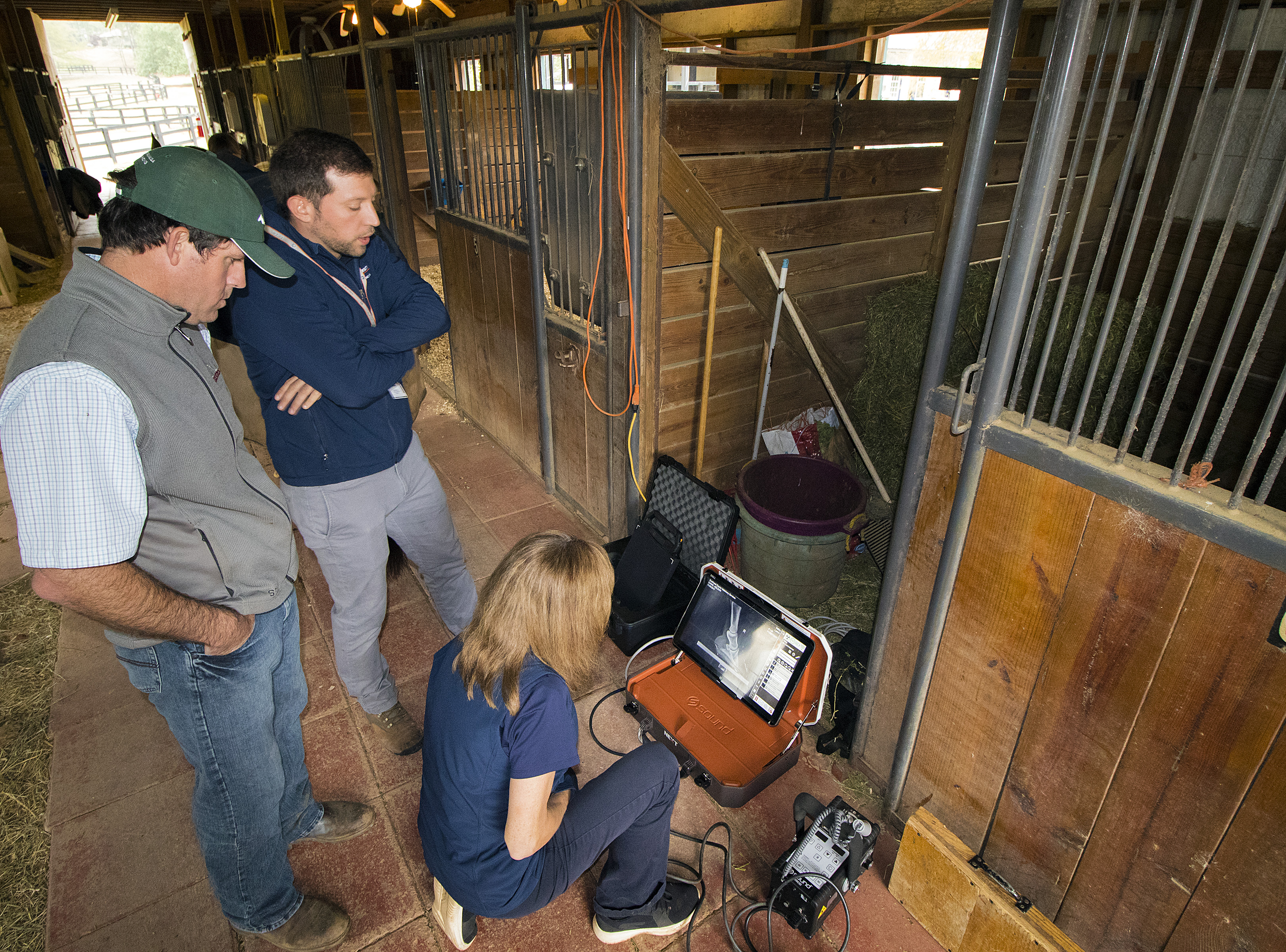 photo of veterinarians looking at laminitis x-ray