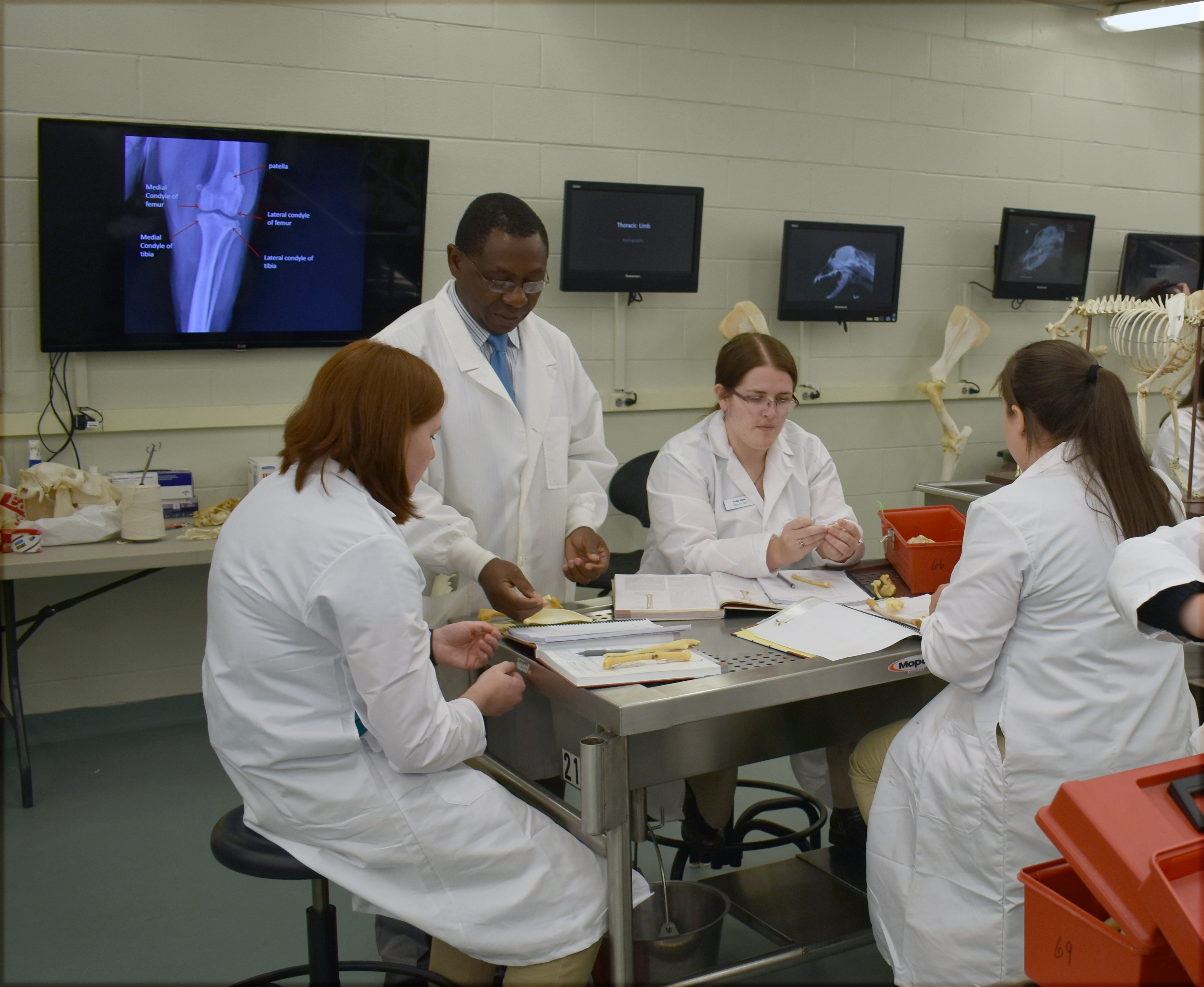Akingbemi teaching veterinary anatomy to students.