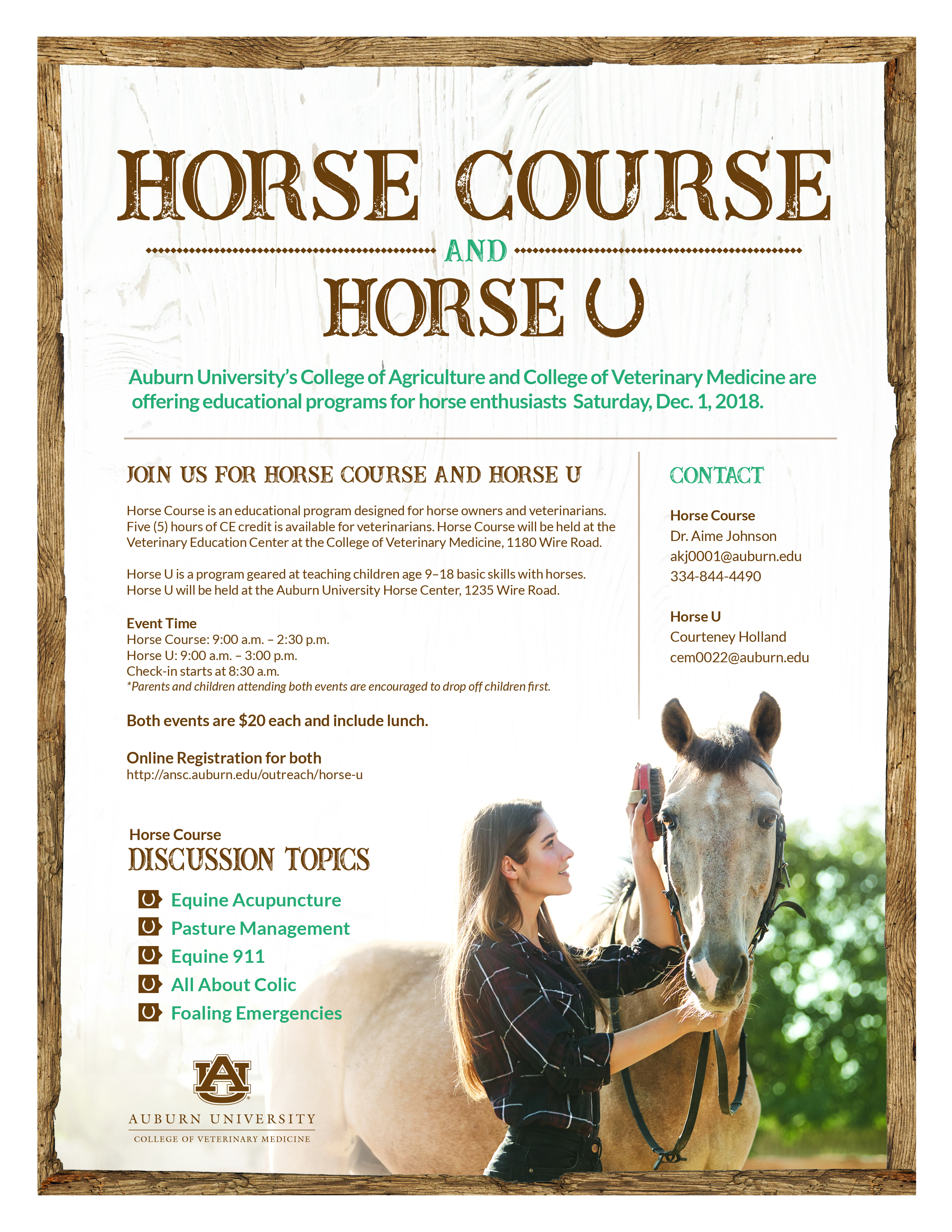 Horse Course Flyer