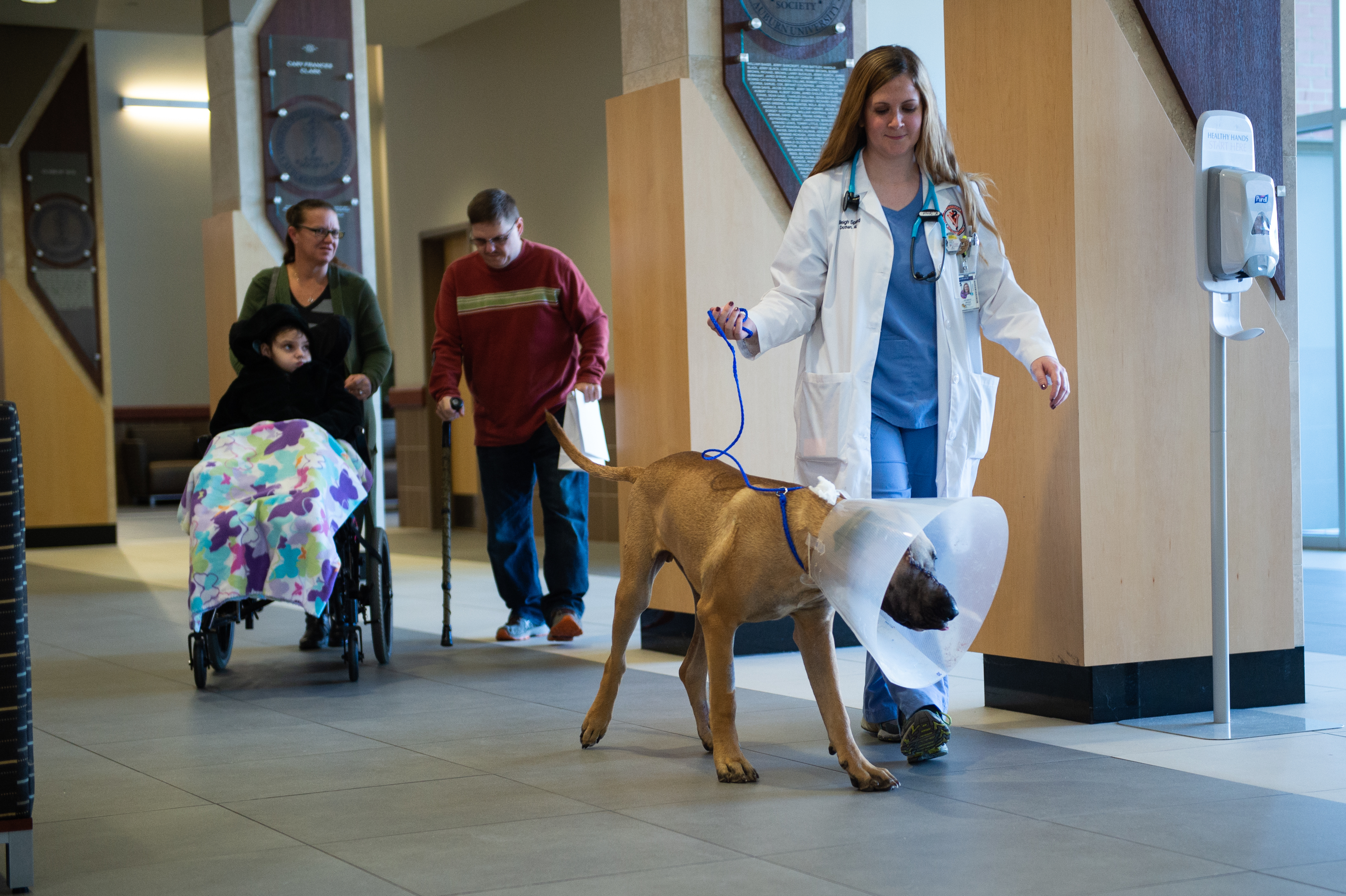 photo of Scooby being discharged