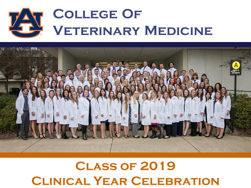 Clinical Awards 2019