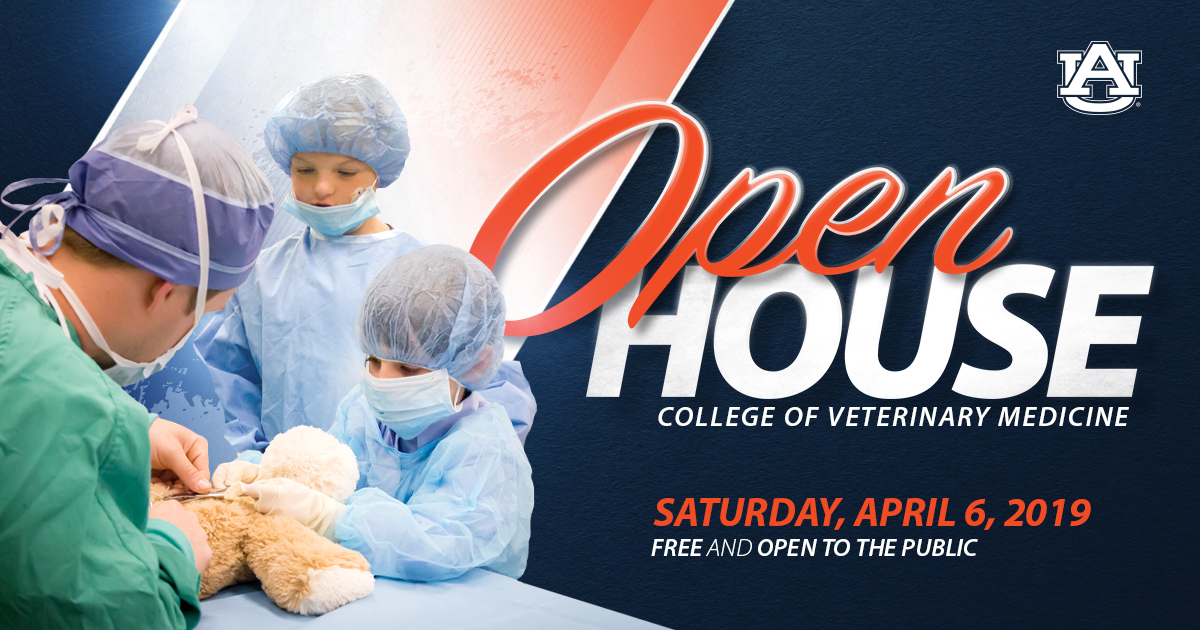 Open house logo