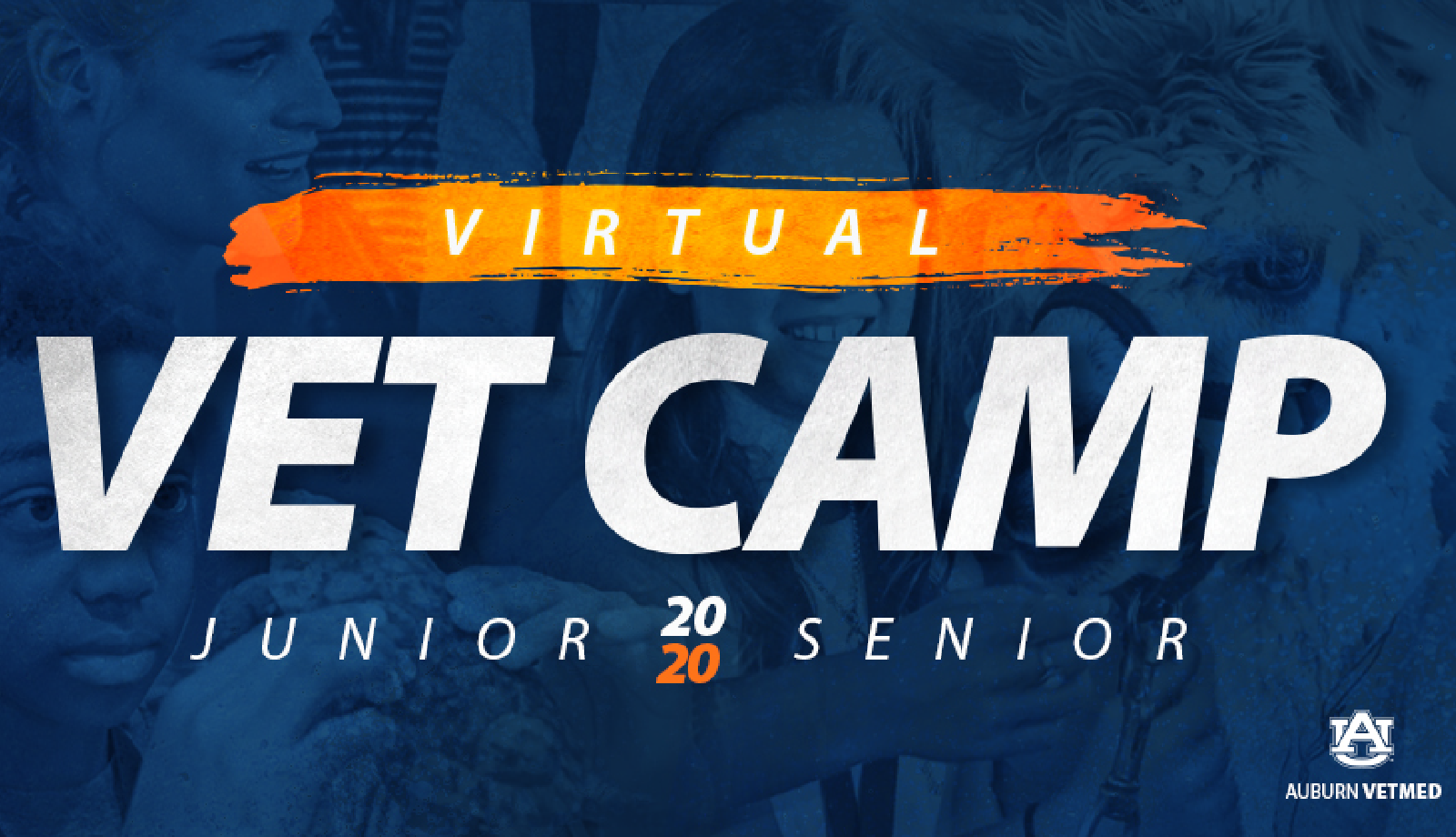Virtual Vet Camps logo