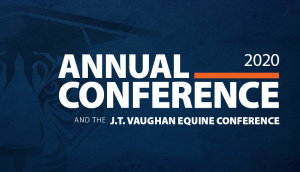 2020 Annual Conference
