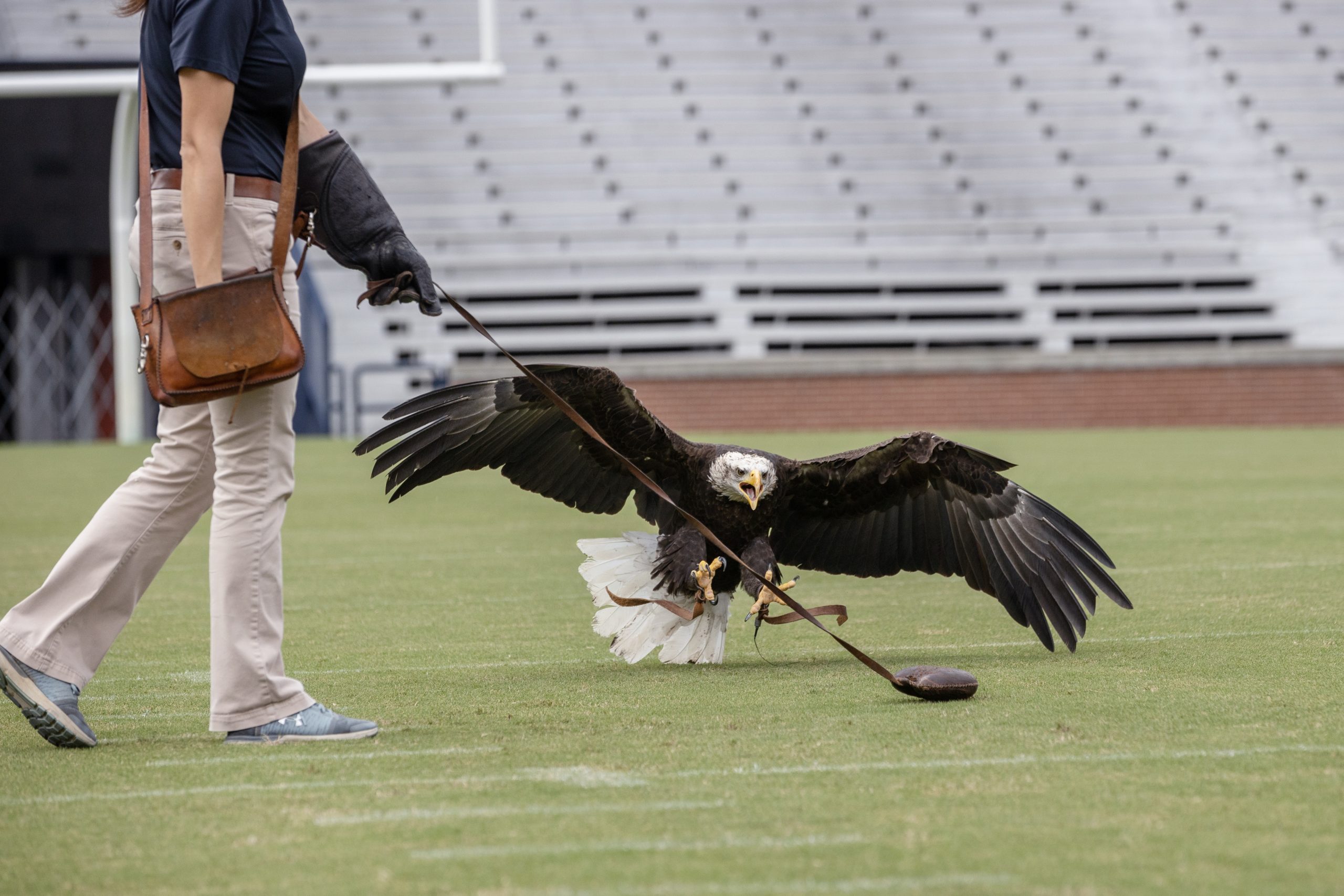 Independence landing on field