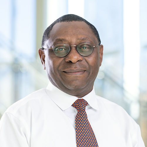 Benson T. Akingbemi Photo