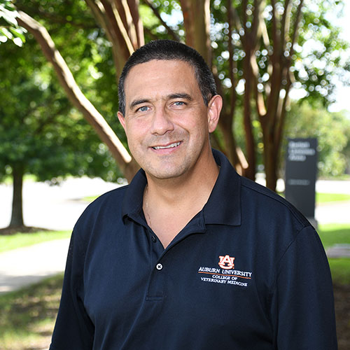 Alfredo Sanchez Photo