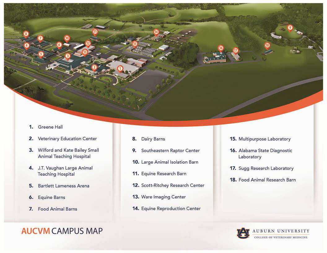 CVM parking map