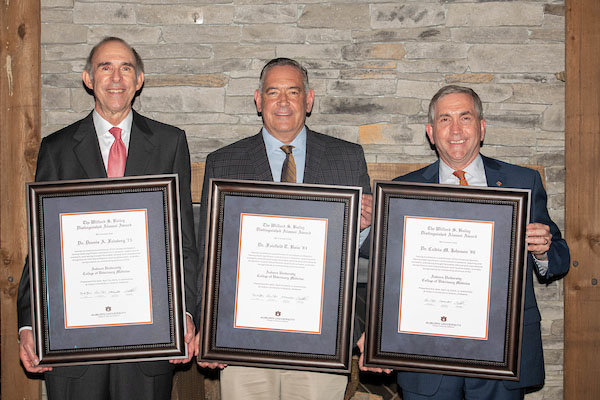 Dr. Dennis A. Feinberg, Dr. Fairfield T. Bain and Dr. Calvin M. Johnson