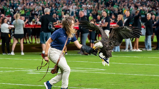 Indy on the field in Philly