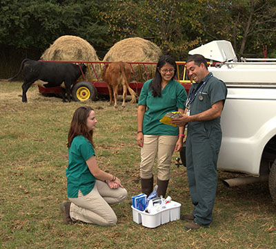 Students and professor on farm call