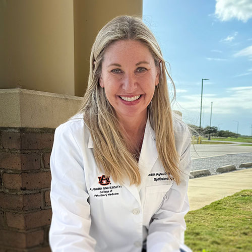 Dr. Voyles