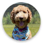 User-Profile-Image