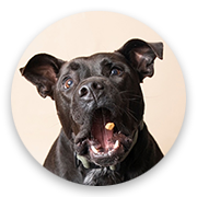 User-Profile-Image