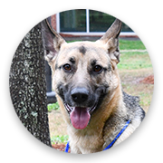 User-Profile-Image