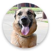 User-Profile-Image