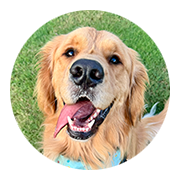 User-Profile-Image