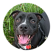User-Profile-Image