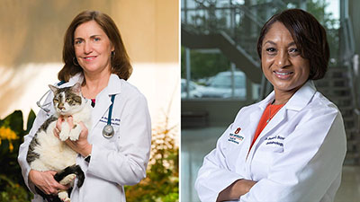 Dr. Delmain and Dr. Boveland