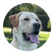User-Profile-Image