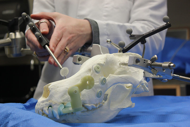Stereotactic Surgery model