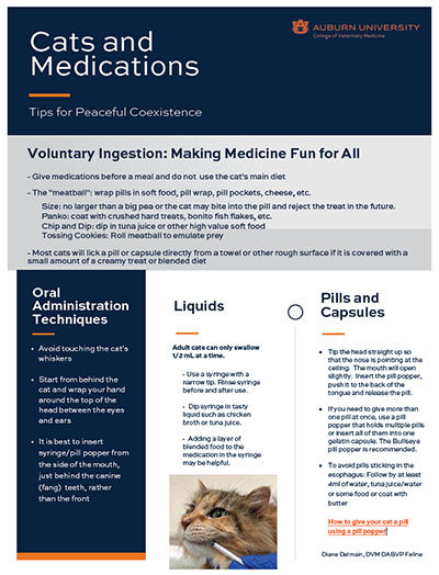 Cats and Medications Flyer (PDF)