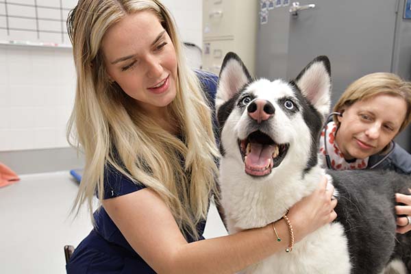 Jamie Johnson with dog