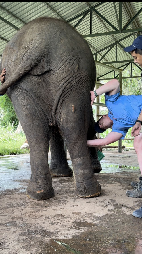 Morrow with elephant