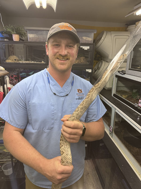 Morrow with snake