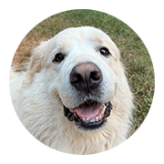 User-Profile-Image
