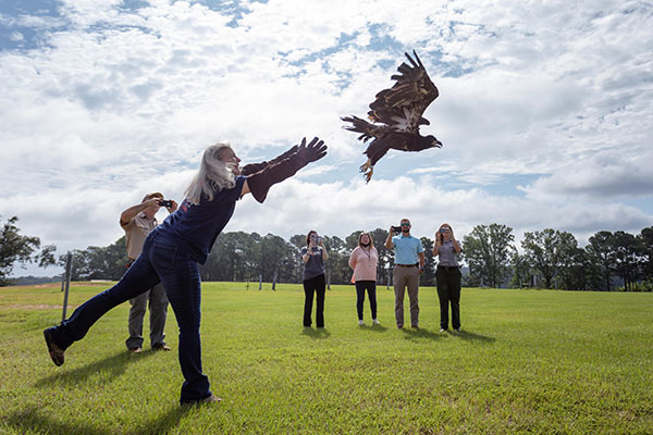 Woman releasing bird into the air